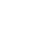 logo_trans_white